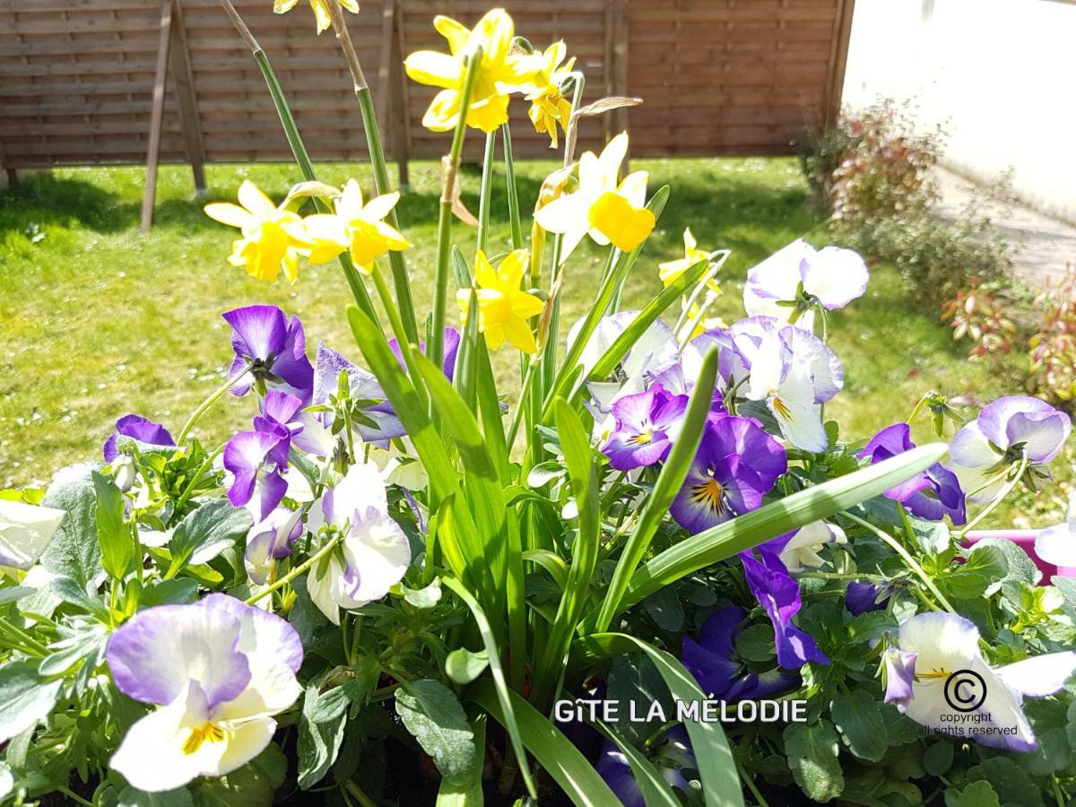 Gite La Melodie Longueville  Bagian luar foto