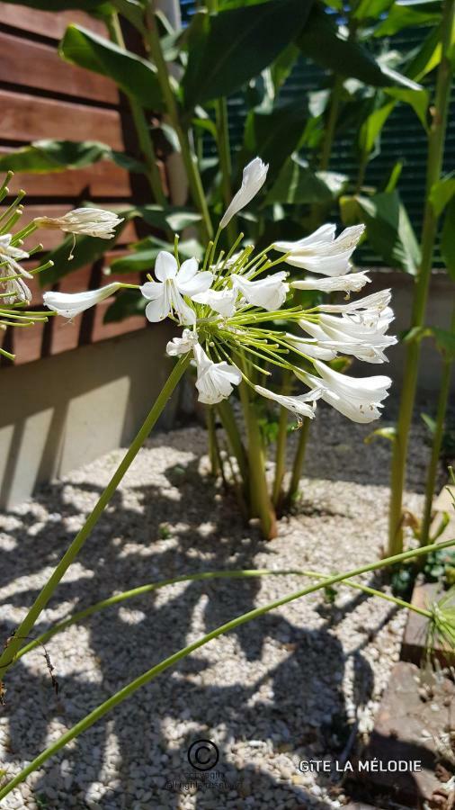 Gite La Melodie Longueville  Bagian luar foto